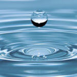 Ortesia CBD Ingredients - Purified Water