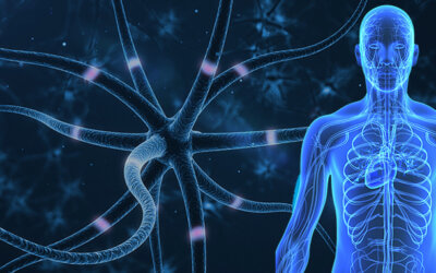 Can You use CBD for Neuropathy?